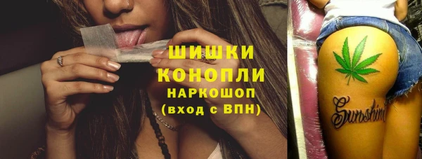 индика Кодинск