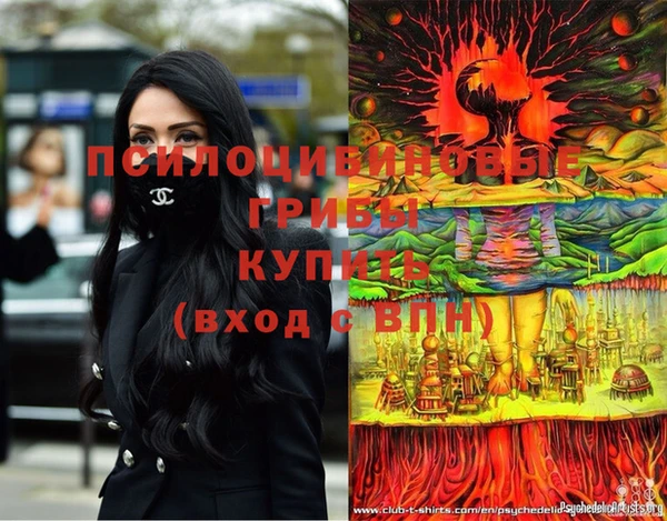 индика Кодинск
