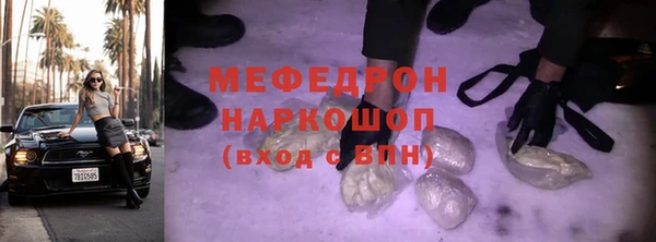шишки Дубна