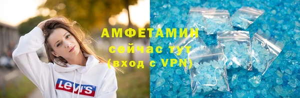 шишки Дубна