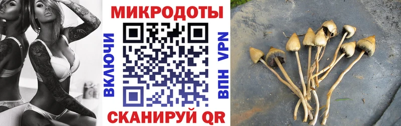 закладки  Короча  Галлюциногенные грибы прущие грибы 